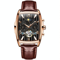 OLEVS 6675 Men Multifunctional Moon Phase Tourbillon Mechanical Watch(Black + Rose Gold)