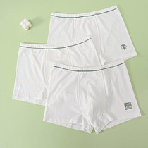 3pcs Boys Cotton Underwear Flat Angle Solid Color Short Panties Children Four-Corner Panties, Size: XXXL(Big Boy)