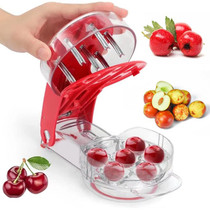 DHQ-01 Cherry Lychee Jujube 6 Holes Core Remover Kitchen Gadget