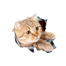 Style 3 Small 3D Stereo Cat Car Sticker Car Body Scratches And Occlusion Stickers