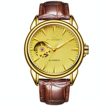 FNGEEN 8813 Multifunction Automatic Men Mechanical Watch(Brown Leather Gold Gold Surface)