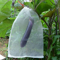 15 PCS Fruit & Vegetable Insect-Proof And Bird-Proof Nylon Mesh Bag, Specification: 30x25cm