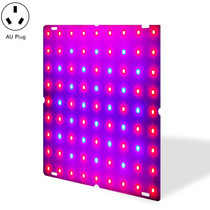 LED Plant Growth Lamp Red Blue Spectrum Flower Fill Light Planting Lamp Room Quantum Plate Plant Light, Power: 169 Beads AU Plug