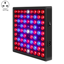 LED Plant Light Quantum Board Greenhouse Seedling Plant Growth Supplementary Light Full Spectrum Plant Planting Light, Power: 169 Beads UK Plug