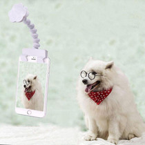 Pet Camera Artifact Dog Cat Looking At Camera Phone Clip(White)