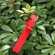 100 PCS Gardening Plant Sapling Seed Hanging Tree Label(Red)