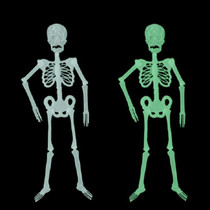 Luminous Skeleton Halloween Activity Props Bar Haunted House Decoration Supplies Fluorescent Skeleton, Size:Small35cm)