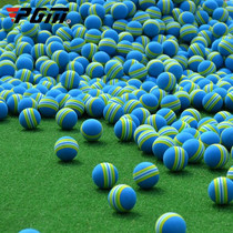 PGM 10 PCS Golf Indoor Practice Sponge Ball (Blue)