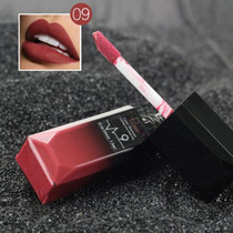 Waterproof Lip Gloss Matte Lipstick Cosmetics Makeup Nude(9#)