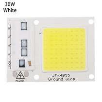 High Power 220V LED FloodlightCool/Warm White COB LED Chip IP65 Smart IC Driver Lamp(30W white)