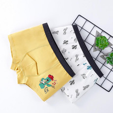 120 Yards 2pcs Boys Cartoon Cotton Boxer Antibacterial Boxer(ND412)