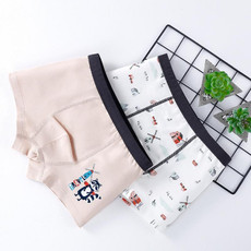 120 Yards 2pcs Boys Cartoon Cotton Boxer Antibacterial Boxer(ND410)