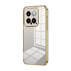 For Xiaomi 14 Transparent Plating Fine Hole Phone Case(Gold)