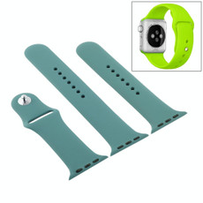 For Apple Watch Series 9&8&7 41mm / SE 3&SE 2&6&SE&5&4 40mm / 3&2&1 38mm High-performance Ordinary & Longer Rubber Sport Watch Band with Pin-and-tuck Closure(Cactus)
