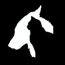 10 PCS Dog and Cat Car Stickers Pet Reflective Waterproof Stickers(White) 10 PCS Dog and Cat Car Stickers Pet Reflective Waterproof Stickers(White)
