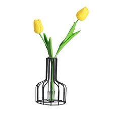 Wrought Iron Hydroponic Green Dried Flower Glass Flower Insert Decoration Without  Fake Flowers( Black)