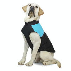 Pet Dog Cotton Vest Ski Suit, Size: L, Chest: 46cm, Back Length: 35cm(Blue)