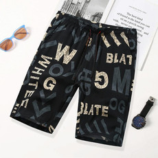 Men Summer Thin Straight Leg Casual Shorts, Size:XL(Letters)