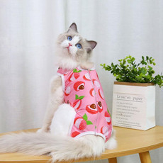 2pcs Pet Neutering Clothes Post-surgery Care Pet Clothes, Size: L(Red Lychee)