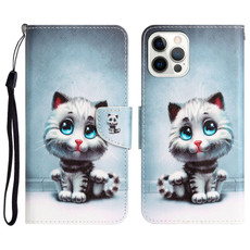 For iPhone 14 Pro Max Colored Drawing Leather Phone Case (Blue Eyes)