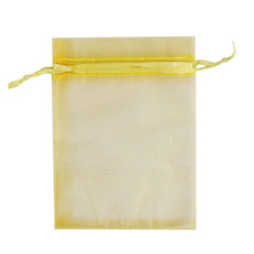 100pcs  Fruit Protection Bag Anti-insect and Anti-bird Net Bag 13 x 18cm(Gold)