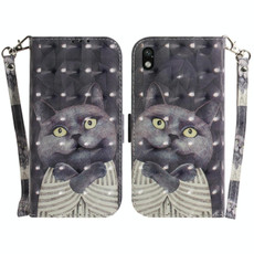 For Sony Xperia Ace III 3D Colored Horizontal Flip Leather Phone Case(Hug Cat)