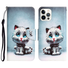 For iPhone 15 Pro Colored Drawing Leather Phone Case(Blue Eyes)