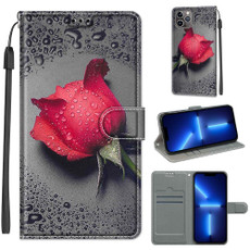 For iPhone 13 Pro Voltage Colored Drawing Magnetic Clasp Horizontal Flip PU Leather Case with Holder & Card Slots (C14 Black Water Drop Rose)