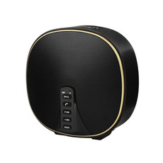 DY-52 Portable Bluetooth Speaker Wireless Loudspeaker Sound 32G Max Memory 10W Stereo Music Surround Outdoor Speaker(Black+Gold)