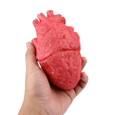 Popular Funny Halloween Props Fake Heart