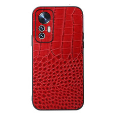 For Xiaomi 12 Lite Crocodile Top Layer Cowhide Leather Phone Case(Red)