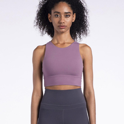Shockproof Sports Underwear, Eiffel Small High Neck Yoga Bra (Color:Mulberry Size:M)