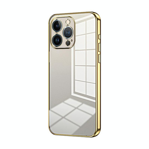 For iPhone 13 Pro Transparent Plating Fine Hole Phone Case(Gold)