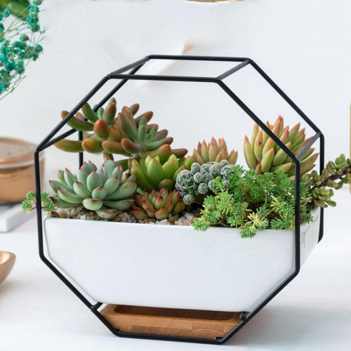 Simple Octagonal Geometric Wall Hanging Table Succulent Platter Bamboo Support Iron Frame Flower Pot(Black)