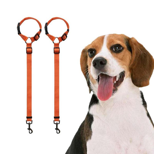 4 PCS Pet Car Safety Rope Ring Dog Car Seat Belt Rear Seat Traction Rope(Orange)