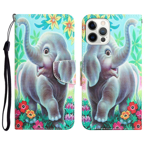 For iPhone 12 / 12 Pro Colored Drawing Leather Phone Case(Elephant)