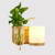 Wooden Bedside Wall Lamp Led Indoor Corridor Aisle Balcony Wall Lamp, Power source: 5W White Light(5025 Right)