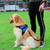 For Small Medium Large Dogs Pet Walking Chest Strap, Size:S(Leopard)