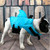 Summer Pet Life Jacket Dog Safety Clothes Dogs Swimwear Pets Safety Swimming Suit, Size:S(Blue)