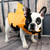 Summer Pet Life Jacket Dog Safety Clothes Dogs Swimwear Pets Safety Swimming Suit, Size:XL(Yellow)
