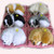 Simulation Will Call the Sleeping Dog Ornaments Toy Creative Doll Children Gift(White) Simulation Will Call the Sleeping Dog Ornaments Toy Creative Doll Children Gift(White)