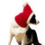 Pet Autumn & Winter Woolen Christmas Hat, Size: XL