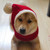 Pet Autumn & Winter Woolen Christmas Hat, Size: XL