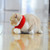 Pet Christmas Wool Scarf Medium & Large Dog Saliva Towel, Size: XXS