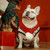 Pet Christmas Wool Scarf Medium & Large Dog Saliva Towel, Size: XXS