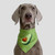 Refreshing Avocado Pet Scarf Three-layer Thickened Waterproof Saliva Towel, Size: XXL