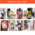 Kids 3D Animal Velvet Backpacks Children Cartoon Kindergarten Toys Gifts School Bags(Dinosaur)