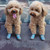 4 PCS / Set Breathable Non-slip Wear-resistant Dog Shoes Pet Supplies, Size: 4.8x5.3cm(Khaki) 4 PCS / Set Breathable Non-slip Wear-resistant Dog Shoes Pet Supplies, Size: 4.8x5.3cm(Khaki)