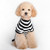 Halloween Skull Pet Sweater Cat & Dog Costume, Size: S