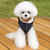 Winter Padded Coat Super Warm and Soft Cotton Jacket for Pet Dog, Size:M(Blue)